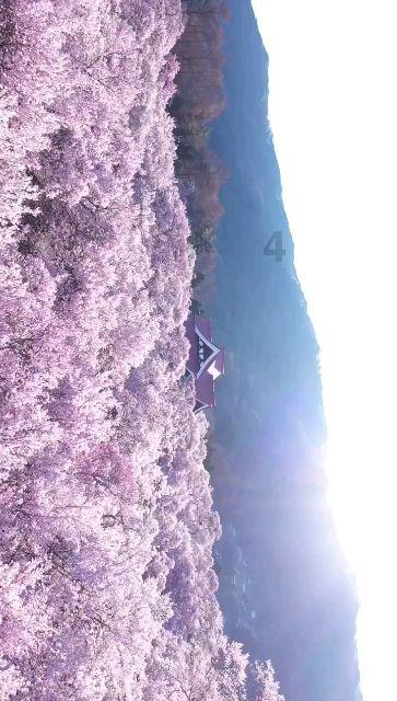 广州普瑞眼科医院,用爱传递光明