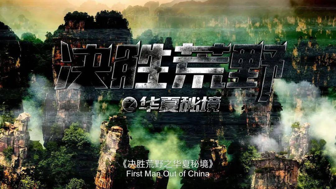 章若楠被赞发量王者，赵露思头发多到要剪薄，乔欣白鹿狂求脱发方法